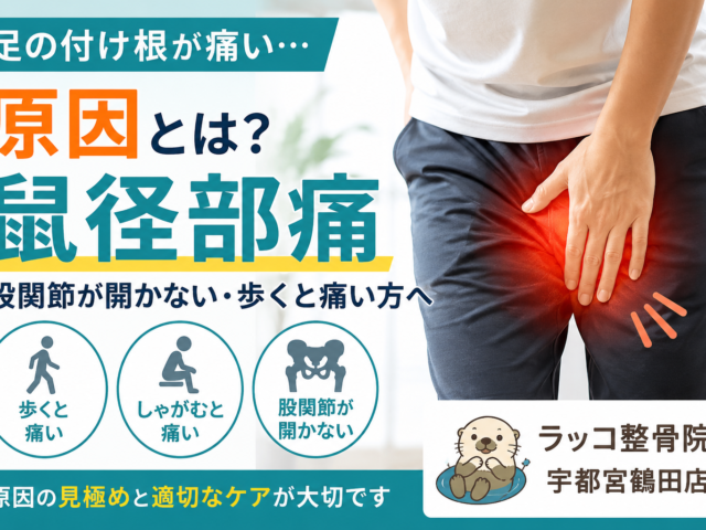 足の付け根が痛い原因とは？股関節が開かない・歩くと痛い鼠径部痛について｜ラッコ整骨院 宇都宮鶴田店