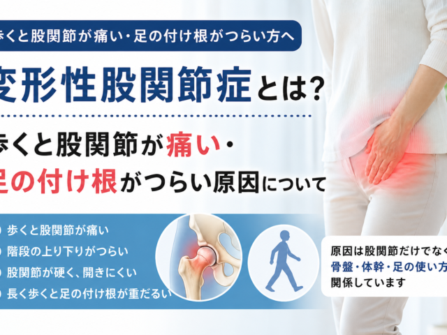変形性股関節症とは？歩くと股関節が痛い・足の付け根がつらい原因について｜ラッコ整骨院 宇都宮鶴田店