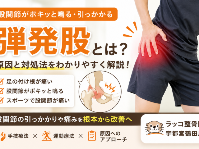 股関節がポキッと鳴る原因は？弾発股の症状・原因・対処法を医学的に解説｜ラッコ整骨院 宇都宮鶴田店