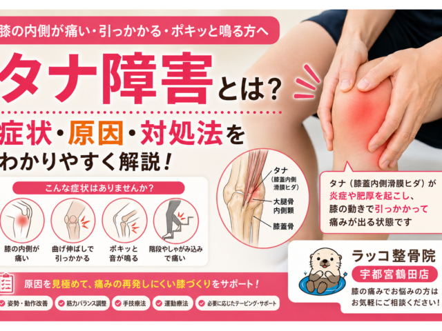 膝の内側が引っかかる原因は？タナ障害の症状・原因・対処法を解説｜宇都宮市のラッコ整骨院