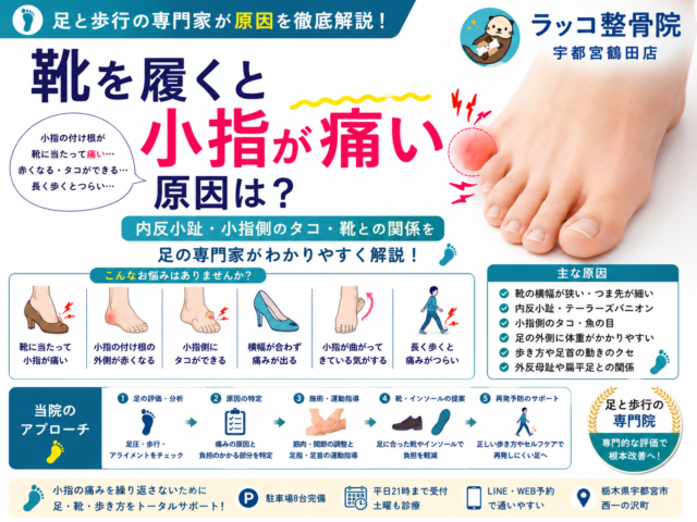 靴を履くと小指が痛い原因は？内反小趾・小指側のタコ・靴との関係を足の専門家が解説